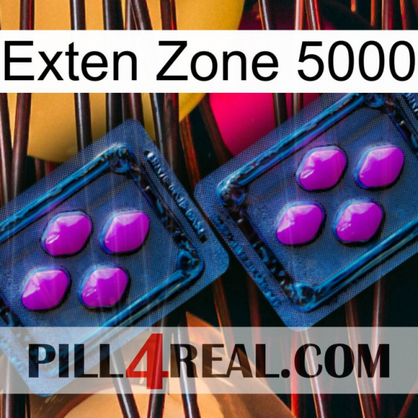 Exten Zone 5000 03.jpg